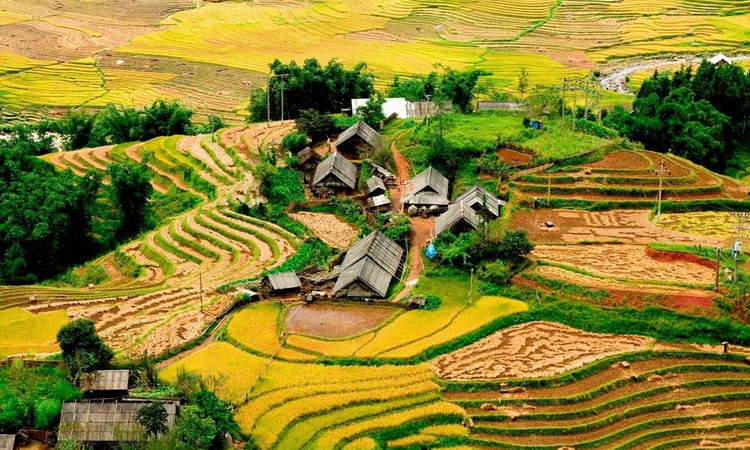Muong Hoa Valley