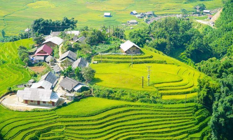 Y Linh Ho Village Tripadvisors