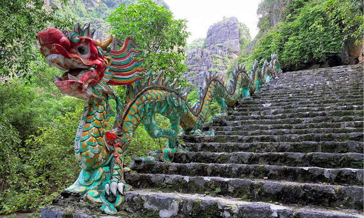 Tour from Hanoi to Mua Cave in Ninh Binh