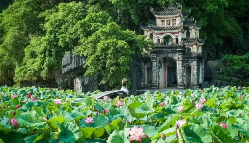 A poetic lotus pond in front of Bich Dong Pagoda's gate