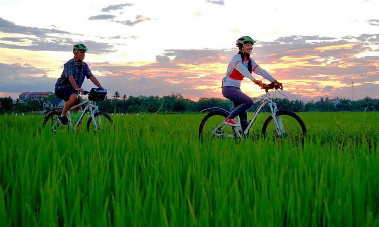 Hoian Cycling and River Cruise