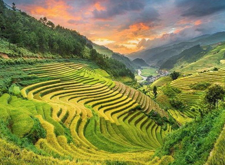 Sapa Rice Terrace