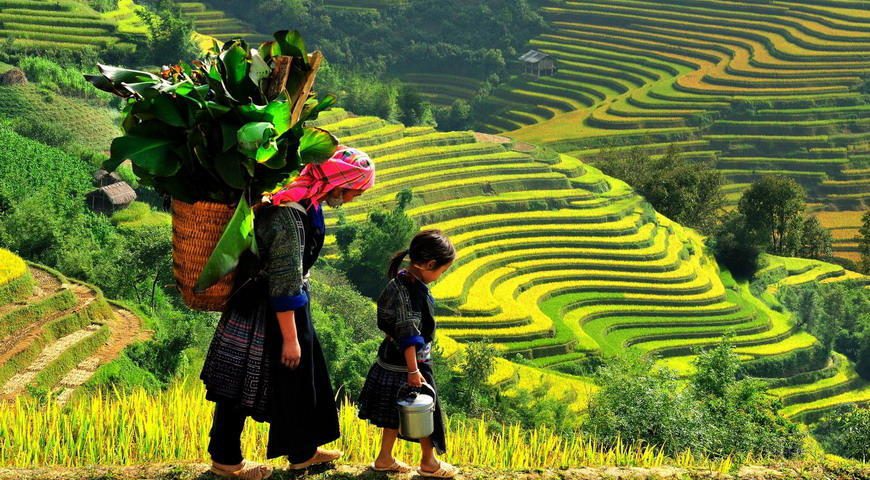 Things to know before traveling to Vietnam