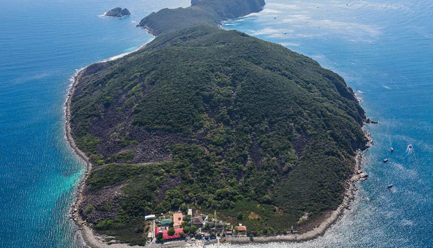 Nha Trang suspends diving tours in marine reserve to inspect coral reefs