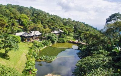 Two Vietnam resorts win at International Travel Awards