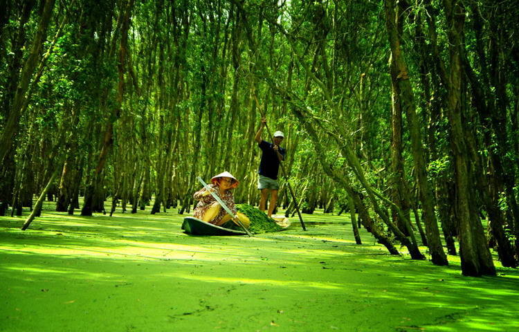 People using motorboat to explore Tra Su Forest